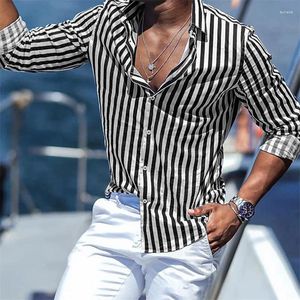 Camicie casual maschile 2024 camicia abbottonatura di alta qualità per business primavera/estate di grandi dimensioni a strisce a strisce lunghe