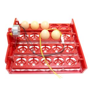 Akcesoria 20 inkubator jaj obróć taca jaja jaja jaja automatycznie obracaj napięcie eksperymentalne experimentalne urządzenia do nauczania jaja