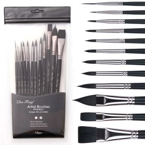 Brushes 12pcs Professional Watercolor Paint Brushes Set Includes Round Flat Cat's Tongue Brushes Synthetic Hair for Watercolor Acrylic