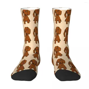 Men's Socks Brown Dachshund Puppy In Your Pocket Sock Men Women Polyester Stockings Customizable Hip Hop