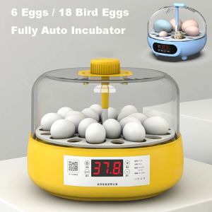 Zubehör Mini Birds Egg Inkubator Automatischer Brutapparat für zu Hause Niedlicher Cartoon Automatischer Inkubator Elektrisch für Kinder Hühnervögel 6 18 Eier