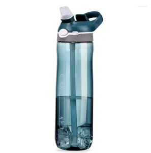 Бутылки с водой 750 мл/1000 мл Тритан бутылка с соломенной экологически чистым