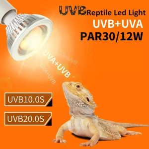 Освещение профессиональная рептилия UV -лампа UVA UVB 10.0S 20.0S Ящерица Ящерица баскет