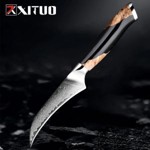 Xituo Bird Bird Beak Paring Knife 3.5 