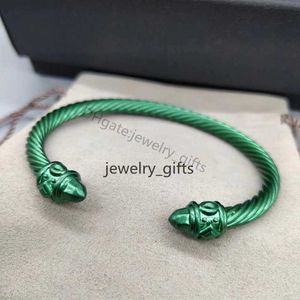 colorful Designer Luxury Bracelet Women Retro 925 Silver plated twist cable Ethnic Circle Men Punk style Gold bracelets Designers jewelry Suitable wrist 15-20cm JCR