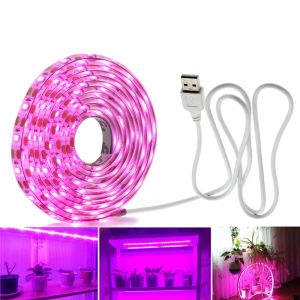 Full Spectrum LED Grow Lights USB LED -remsljus 0,5 m 1m 2m 2835 Chip LED -fyto -lampor för växthushydroponisk växt som växer LL