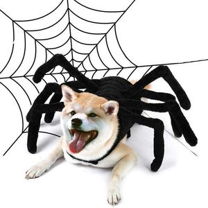 Vestuário de cachorro Halloween Costume de pet -aranha preta Cosplay Funny Up For Cat Small Medium Grande Dogs Acessórios H240506
