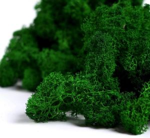 Decorative Flowers 60/100g Artificial Green Plants Eternal Moss Life Grass DIY Crafts Mini Landscape Fake Home Garden Living Room Decor