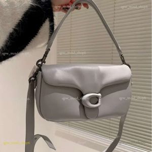 2024 C0AH Soft Cloud Shoulder Bag Designer Crossbody Black Grey Cream Pink Cross Body Soft Bag Mini Tabby Pillow 26cm 793