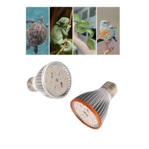 Iluminação Full Specstrum UVA UVB Lâmpada de lâmpada de lâmpada de lâmpada UV LED UV para tartaruga lagarto lagarto lagarto lâmpada lâmpada de lâmpada terrário animais de estimação Rettili acessório