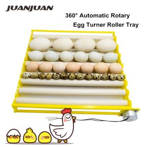 Аксессуары 360 ° Автоматические ротационные яичные шаровые лотки для яиц инкубаторные аксессуары роликовые шаблоны яиц для яиц 42/56/156 Яйца