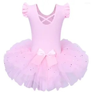 Stage desgaste Baohulu Girls Ballet Tutu Tulle Dress Dress Sleesess Gymnastics Leotard Diamond Pink Bow Padrão para Girl Ballerina