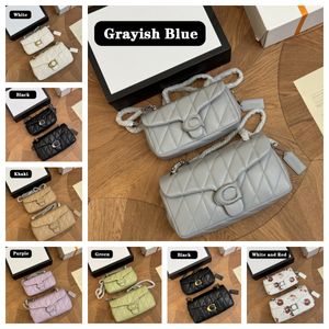 Designer Shoulder Bag Quilted Tabby Bag Handbags For Women Coin Purse Designer Cross Body Bag High Quality Soft Real Leather Chain Bag Designer Purses Crossbody