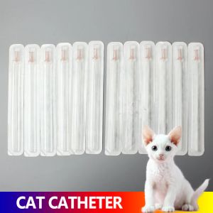 Houseberiden Tesis Edilebilir Kedi Üriner Kateter Steril Feline Spesifik Mesane Taşı Obstruc Üretral Kateterler 1.0 1.3mm Veteriner Aleti