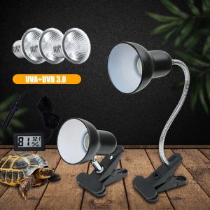 Beleuchtung UVA+UVB 3.0 Haustiere Reptilienlampenhalter mit Clipon -Thermometer Hygrometer Echsenschildkrötenschildkröten -Heizbirnen 220 V