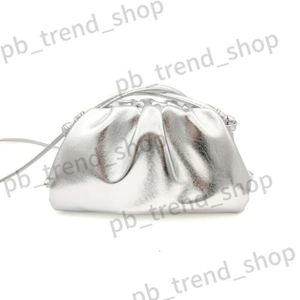 Designer Bag Cloud Botega Venetta Metallic Weave Luxury Tote Bag Classical Grid Wallet Shoulder Bags Handbag Purse Makeup Bottegga Crossbody 931