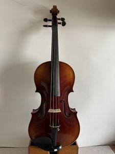 Master Viola 16 