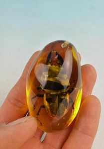 Sällsynt bärnsten Beetle Amber Beetle Pendant0123456789105561143
