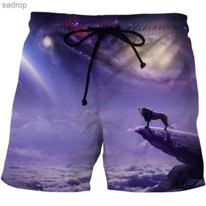 Men's Swimwear Summer Mens Beach Shorts S-6XL Swimming Pants Fire Tiger/Lion 3D Printed Extra Large Surfing Shorts Mens Gym Surfing Board Swimsuit XW