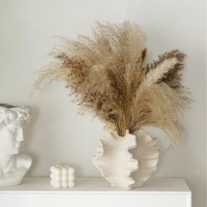 Vases Ceramic Coral Shaped Flower Vase Panpas Grass Container Collection Art Nordic INS Pot Home Living Room Bedroom Desktop Decoation