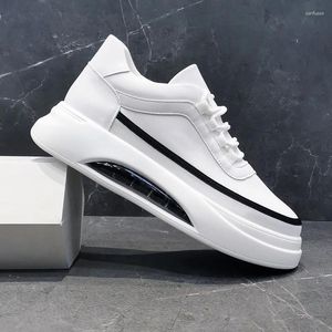 Casual skor män mode äkta läder snörning vit sko utomhus vandring sneakers varumärke designer luft kudde plattform skor man