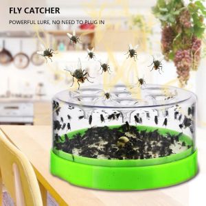 Trappola flycatcher automatico Catch Manteen Fly Machine Flies Killer Flycatcher Control Controllo Anti Fly Electronic Fly Trap per Ranch