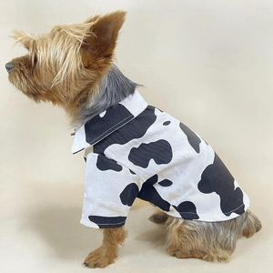 Hundekleidung kleines Hemd Herbst Frühling Katze Fashion Cartoon Kleidung PET HEISSE DESINGER JACKE PUBIGY MORGIGAN CHIHUAHUA POMERANISCHER POODLE