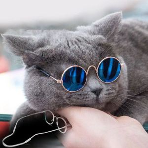 Ospita occhiali da sole da sole per occhiali per cani da gatto con cintura antistiskid adorabili lenti per occhiali per occhiali accessori per gatti decorazione