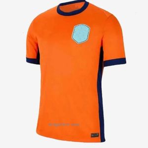 Camicie da calcio euro tracce della tuta da uomo Memphis de Jong Virgil Ligt Gakpo Dumfries Bergvijn Klaassen Fans Player Shirt Football Kids Kit