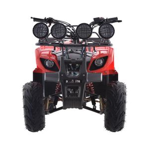 Electronics non Electronics Kids ATV Wholesale 49cc Two Stroke All Terrain Quad Motorcycle