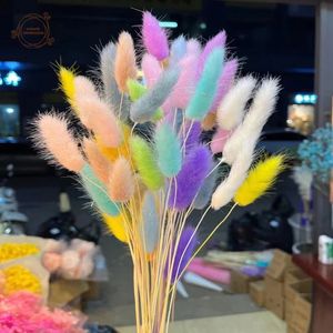60st Mix Dried Bunny Tail Grass Natural Contsed Dry Flowers Wedding Table Decor Bouquet Home Decoration Flower Arrangement 240417