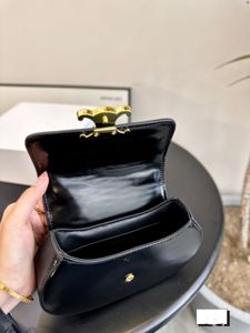 Designer Bag Celiniss Bag Luxury Shoulder Envelope Bags Leather Crossbody Underarm Bags Celiene Women Handbag Metal Clad Chain