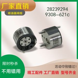 Automotive Fuel Injector High Pressure Common Rail Nozzle Control Ventil för Delphi Ssangyong Nissan Renault 9308-621C 28239294 Motordelar 28239 294