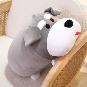 만화 Schnauzer Dog Plush 던지는 베개 장난감 귀여운 박제 동물 지방 강아지 인형 애니메이션 부드러운 소파 쿠션 홈룸 장식 장난감 240424