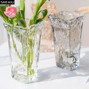 Vaser modern konstglas bänkskiva vas oregelbunden transparent hydropon blommor arrangemang container vardagsrum dekor