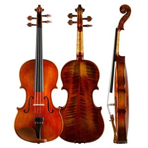 Anfängerprüfung Violin Muse Klassiker glänzender Fichte Maple +Fall Bogen