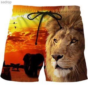 Men's Swimwear Mens beach shorts S-6XL sports shorts Galaxy Lion 3D printed thin and loose gym shorts mens oversized surfboard shorts swimsuit XW