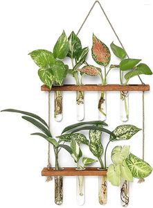 Decorative Figurines Wall Hanging Test Tube Glass Planter Plant Vase With Wooden Stand & Strings Rope Terrarium (2 Layer)