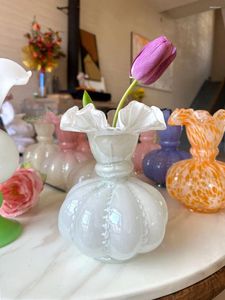 Вазы 6 цветов стеклянная цветочная ваза таблица гидропонные ремесла для гостиной обеденный зал.