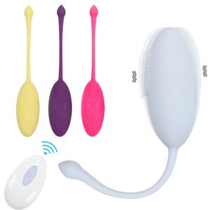 Controle remoto sem fio Toy sexo feminino Toy sexual 12 velocidade ovo vibratório ovo salto de ovo vaginal Estimulação de clitóris adulto 240430