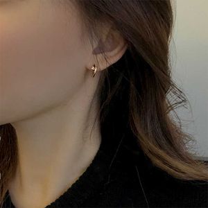 Earrings de pico encantadores S925 Pure Prail Unhel Ear com feminino peito 18k Rose Gold and Dien com Brincho original do carrinho