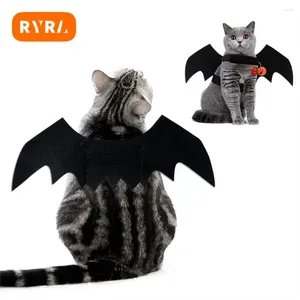 Katzenkostüme Halloween Haustierkleidung Schöne einzigartige Design schwarzer Trend komfortable Spaß Kostüm die Glocke