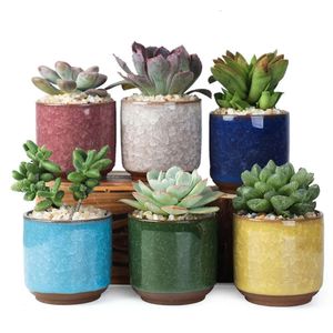 Pote de flores de cerâmica rachado de gelo colorido para decoração de desktop Plantas em vasos de carne Mini plantores