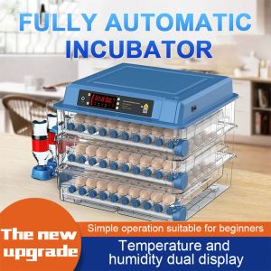 Acessórios 192/128/100/64 Ovos incubador de temperatura totalmente automática Reabastecimento de água Termoregulador Máquina de incubador