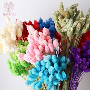 50pcs gem grama flores secas de buquê decoração de casamento real vegetais naturais de beleza jóias de beleza phalaris flor decoração de casa 240417