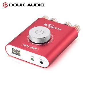 Wzmacniacz Douk Audio HiFi NS20G HiFi DSP Stereo słuchawkowe wzmacniacz słuchawkowy Mini Bluetooth 5.0 TPA3116 Cyfrowy wzmacniacz energii 200W bez adaptera