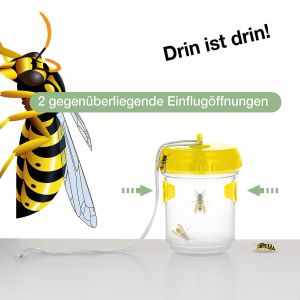 Fallen Köder -Wespen Fallen 13 cm 3pcs/Set gegen Bienen Hornissen anziehen Verteidigung für hängende Insektenschutz transparent