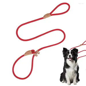 犬の首輪スリップリードロープアンチウェアトレーニングリーシュハイ強度快適なアクセサリー1.5mランニング