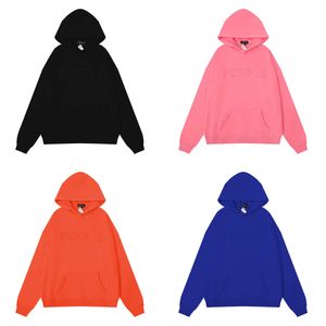 2023 Autumn/Winter New Fashion Purple Letter Same Color Embroidered Couple Hoodies for Men and Women