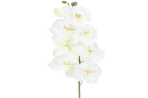 10pcslot Жизненная искусственная бабочка орхидея цветочная шелковая шелк phalaenopsis Свадебное домашнее украшение DIY Фальшивые цветы 1464 v21706438